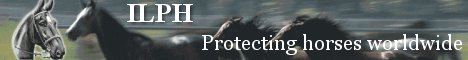 ILPH - protecting horses worldwide